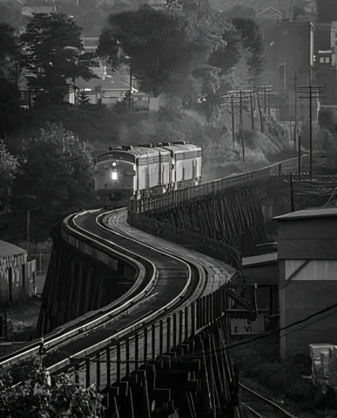 Train on curved track through lush landscape.