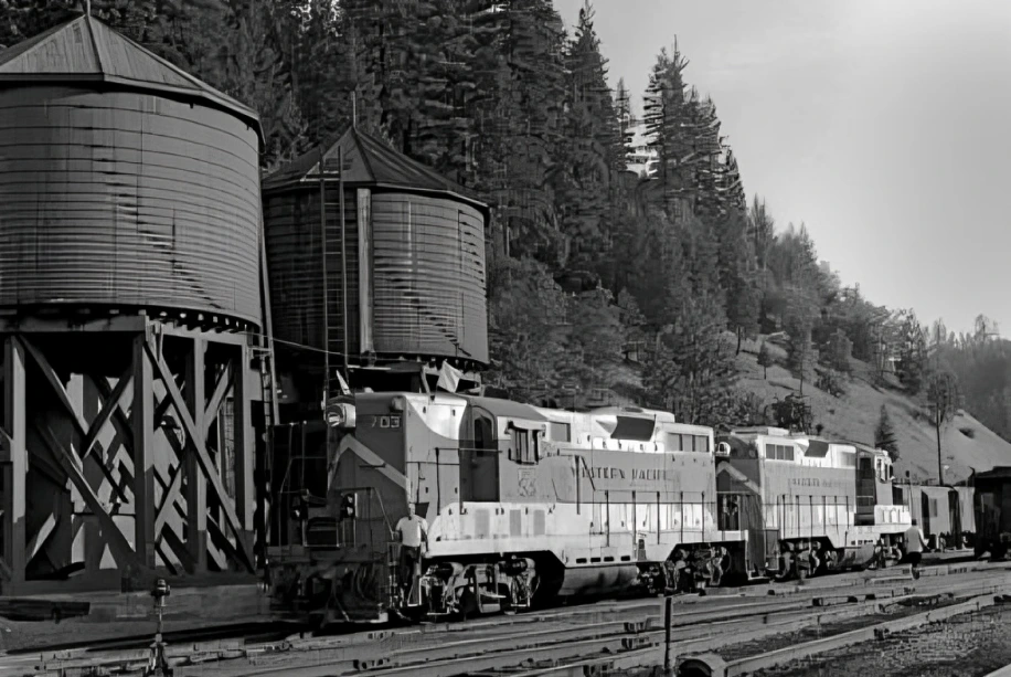 Trains beside water towers in forest.